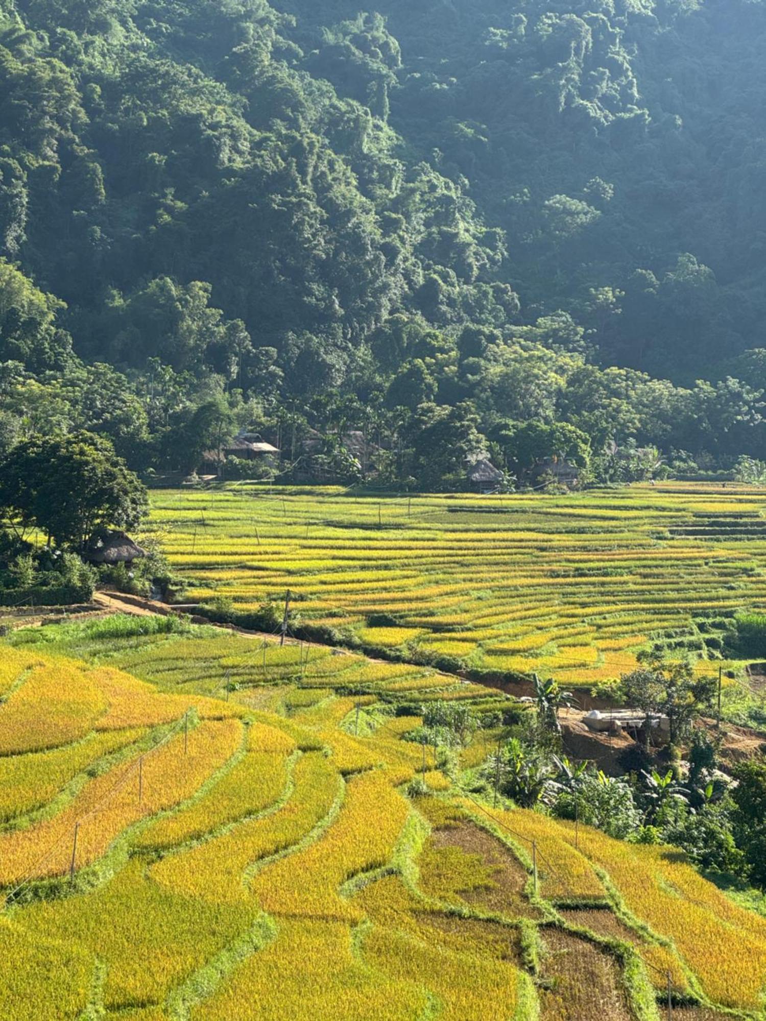 Pu Luong - Duy Phuong Homestay Thanh Hóa Zewnętrze zdjęcie